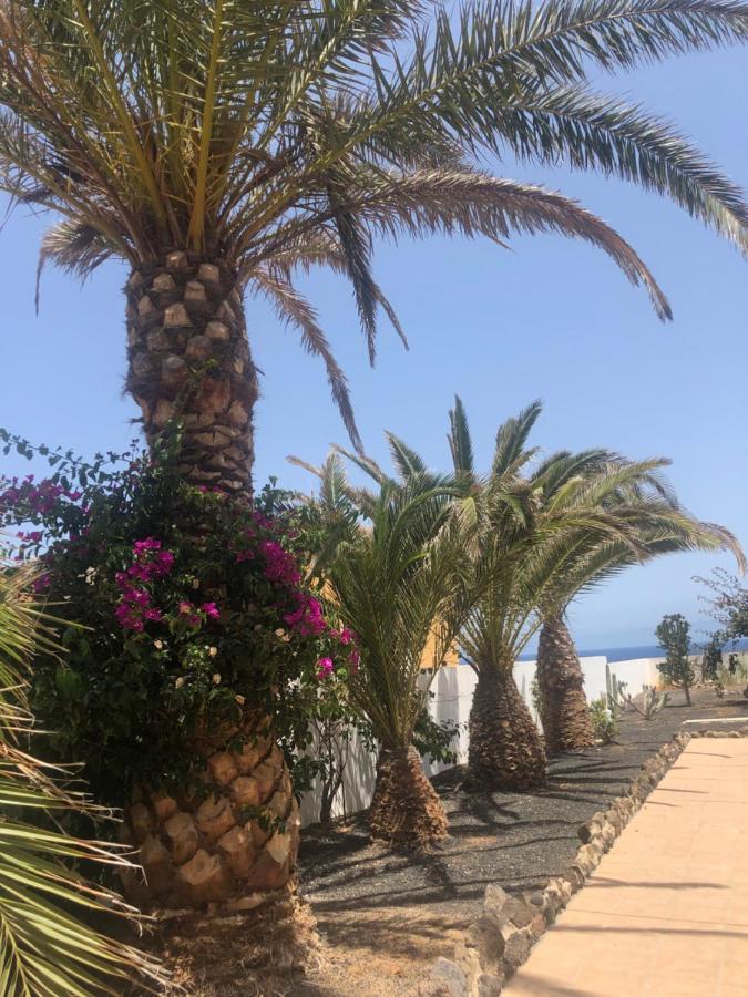 Apartamento La Tortuga De Fuerteventura Costa De Antigua Εξωτερικό φωτογραφία